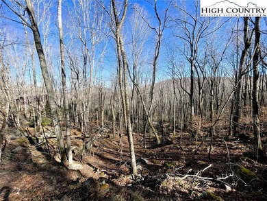 Excellent value on an elevated lot in a prime location! Just a on Beech Mountain Club in North Carolina - for sale on GolfHomes.com, golf home, golf lot