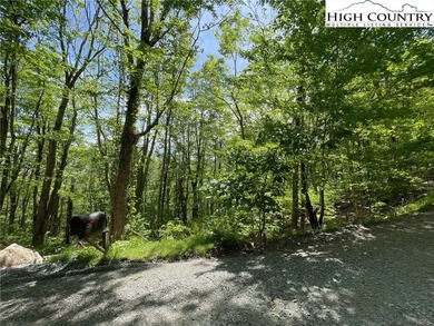 Excellent value on an elevated lot in a prime location! Just a on Beech Mountain Club in North Carolina - for sale on GolfHomes.com, golf home, golf lot
