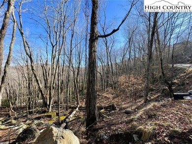 Excellent value on an elevated lot in a prime location! Just a on Beech Mountain Club in North Carolina - for sale on GolfHomes.com, golf home, golf lot