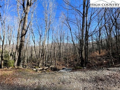 Excellent value on an elevated lot in a prime location! Just a on Beech Mountain Club in North Carolina - for sale on GolfHomes.com, golf home, golf lot