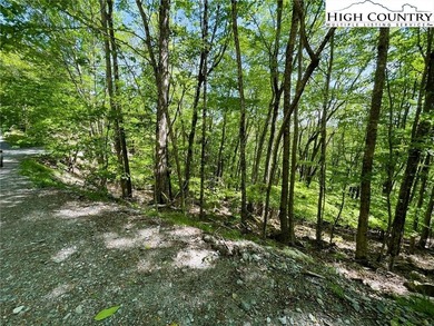 Excellent value on an elevated lot in a prime location! Just a on Beech Mountain Club in North Carolina - for sale on GolfHomes.com, golf home, golf lot