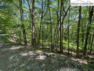 Excellent value on an elevated lot in a prime location! Just a on Beech Mountain Club in North Carolina - for sale on GolfHomes.com, golf home, golf lot