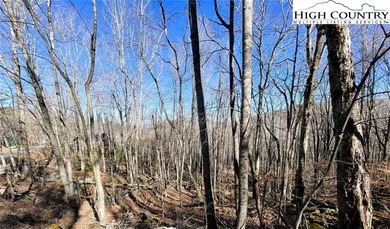 Excellent value on an elevated lot in a prime location! Just a on Beech Mountain Club in North Carolina - for sale on GolfHomes.com, golf home, golf lot