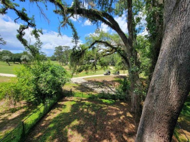 Fabulous move in ready townhome with golf course views.  Both on Hilaman Park Golf Course in Florida - for sale on GolfHomes.com, golf home, golf lot