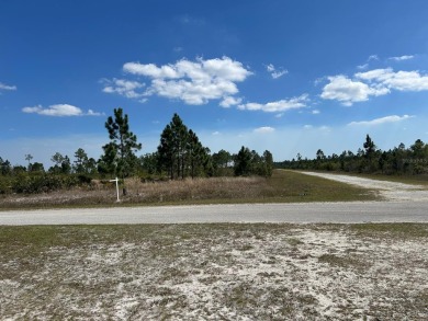 Prime location to build your dream home! This spacious lot, over on Indian Lake Estates Golf and Country Club in Florida - for sale on GolfHomes.com, golf home, golf lot