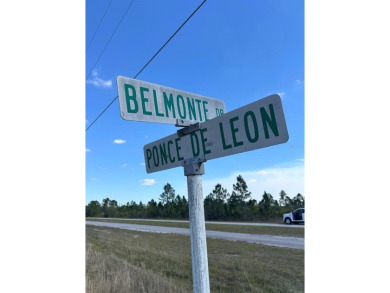 Prime location to build your dream home! This spacious lot, over on Indian Lake Estates Golf and Country Club in Florida - for sale on GolfHomes.com, golf home, golf lot