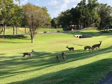 DON'T MISS YOUR CHANCE to own this unique almost an ACRE on Pinnacle Golf and Boat Club in Texas - for sale on GolfHomes.com, golf home, golf lot