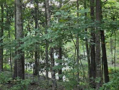 LOOKING FOR ACREAGE AT LAKE BLACKSHEAR. Look no further for a on Ironwood Golf Club in Georgia - for sale on GolfHomes.com, golf home, golf lot