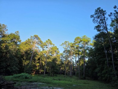 LOOKING FOR ACREAGE AT LAKE BLACKSHEAR. Look no further for a on Ironwood Golf Club in Georgia - for sale on GolfHomes.com, golf home, golf lot