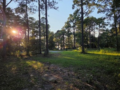 LOOKING FOR ACREAGE AT LAKE BLACKSHEAR. Look no further for a on Ironwood Golf Club in Georgia - for sale on GolfHomes.com, golf home, golf lot