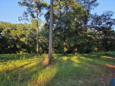 LOOKING FOR ACREAGE AT LAKE BLACKSHEAR. Look no further for a on Ironwood Golf Club in Georgia - for sale on GolfHomes.com, golf home, golf lot