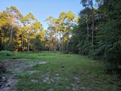 LOOKING FOR ACREAGE AT LAKE BLACKSHEAR. Look no further for a on Ironwood Golf Club in Georgia - for sale on GolfHomes.com, golf home, golf lot