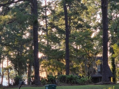 LOOKING FOR ACREAGE AT LAKE BLACKSHEAR. Look no further for a on Ironwood Golf Club in Georgia - for sale on GolfHomes.com, golf home, golf lot