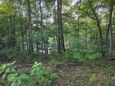 LOOKING FOR ACREAGE AT LAKE BLACKSHEAR. Look no further for a on Ironwood Golf Club in Georgia - for sale on GolfHomes.com, golf home, golf lot