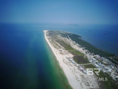 THIS HAS IT ALL !! Third Tier RENOVATED BEACH HOUSE WITH POOL! on Kiva Dunes Golf Club in Alabama - for sale on GolfHomes.com, golf home, golf lot