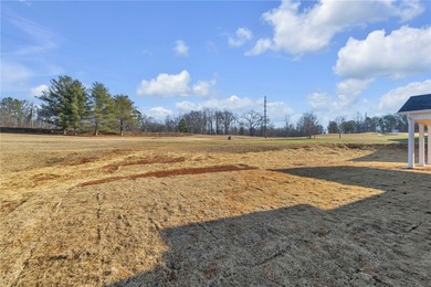 Welcome to your dream home in one of the area's most desirable on Falcons Lair Golf Club in South Carolina - for sale on GolfHomes.com, golf home, golf lot