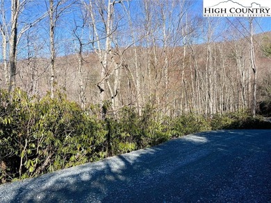 Own a lot on Beech Mountain at a great price. Minutes to the on Beech Mountain Club in North Carolina - for sale on GolfHomes.com, golf home, golf lot