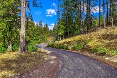 Discover this READY-TO-BUILD lot on ''Moose Mountain'' in the on The Idaho Club in Idaho - for sale on GolfHomes.com, golf home, golf lot