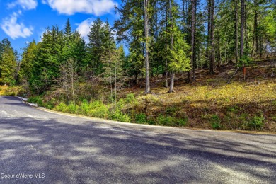 Discover this READY-TO-BUILD lot on ''Moose Mountain'' in the on The Idaho Club in Idaho - for sale on GolfHomes.com, golf home, golf lot