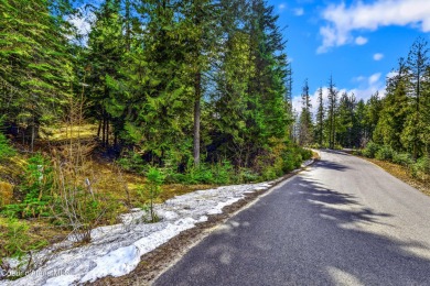 Discover this READY-TO-BUILD lot on ''Moose Mountain'' in the on The Idaho Club in Idaho - for sale on GolfHomes.com, golf home, golf lot