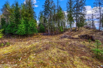 Discover this READY-TO-BUILD lot on ''Moose Mountain'' in the on The Idaho Club in Idaho - for sale on GolfHomes.com, golf home, golf lot
