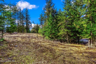 Discover this READY-TO-BUILD lot on ''Moose Mountain'' in the on The Idaho Club in Idaho - for sale on GolfHomes.com, golf home, golf lot