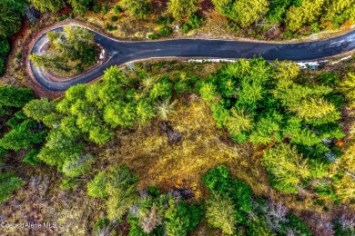 Discover this READY-TO-BUILD lot on ''Moose Mountain'' in the on The Idaho Club in Idaho - for sale on GolfHomes.com, golf home, golf lot