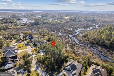 Discover Your Dream Home Site - 356 Millers Branch in Osprey on The Club At Osprey Cove in Georgia - for sale on GolfHomes.com, golf home, golf lot