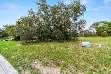 Vacant Lot in Black Diamond Ranch, one of Florida's premier on Black Diamond Ranch Golf Course in Florida - for sale on GolfHomes.com, golf home, golf lot