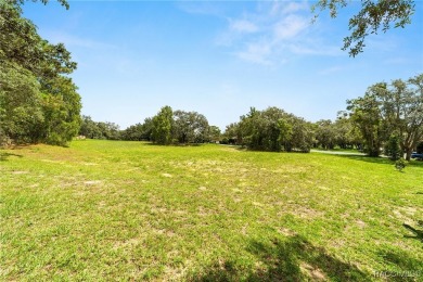 Vacant Lot in Black Diamond Ranch, one of Florida's premier on Black Diamond Ranch Golf Course in Florida - for sale on GolfHomes.com, golf home, golf lot