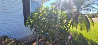 **MOTIVATED SELLER** - ALL REASONABLE OFFERS CONSIDERED! UPDATED on Schalamar Creek Golf and Country Club in Florida - for sale on GolfHomes.com, golf home, golf lot