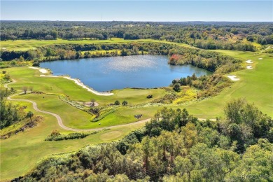 Vacant Lot in Black Diamond Ranch, one of Florida's premier on Black Diamond Ranch Golf Course in Florida - for sale on GolfHomes.com, golf home, golf lot