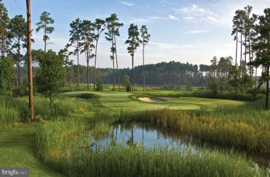 This unique and rarely available one-level 4 bedroom, 2.5 bath on Bayside Resort Golf Club in Delaware - for sale on GolfHomes.com, golf home, golf lot