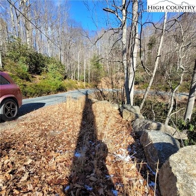 Nice, large buildable lot in the Buckeye Rec area with .82 acres on Beech Mountain Club in North Carolina - for sale on GolfHomes.com, golf home, golf lot