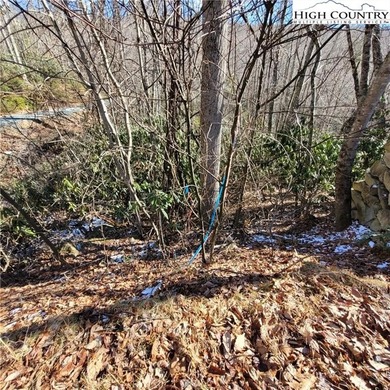 Nice, large buildable lot in the Buckeye Rec area with .82 acres on Beech Mountain Club in North Carolina - for sale on GolfHomes.com, golf home, golf lot