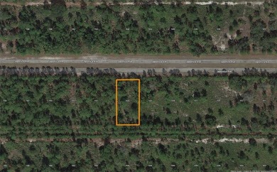 One-half acre lot located in the lake community of Indian Lake on Indian Lake Estates Golf and Country Club in Florida - for sale on GolfHomes.com, golf home, golf lot