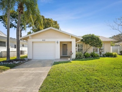Charming 2BR, 2BA Home in the Highly Desirable Anchorage of on Lansbrook Golf Club in Florida - for sale on GolfHomes.com, golf home, golf lot