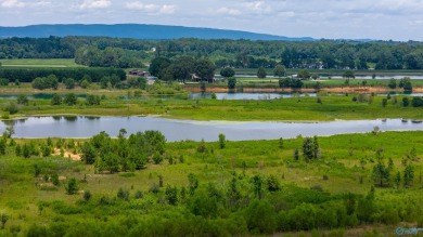 New Listing! First time offered! Beautiful farm featuring 2 on Twin Bridges Golf Course in Alabama - for sale on GolfHomes.com, golf home, golf lot