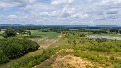 New Listing! First time offered! Beautiful farm featuring 2 on Twin Bridges Golf Course in Alabama - for sale on GolfHomes.com, golf home, golf lot