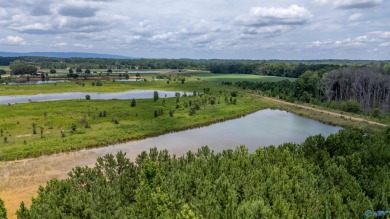 New Listing! First time offered! Beautiful farm featuring 2 on Twin Bridges Golf Course in Alabama - for sale on GolfHomes.com, golf home, golf lot