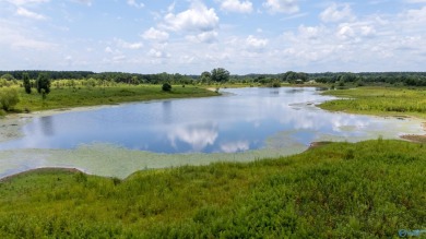 New Listing! First time offered! Beautiful farm featuring 2 on Twin Bridges Golf Course in Alabama - for sale on GolfHomes.com, golf home, golf lot