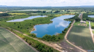 New Listing! First time offered! Beautiful farm featuring 2 on Twin Bridges Golf Course in Alabama - for sale on GolfHomes.com, golf home, golf lot