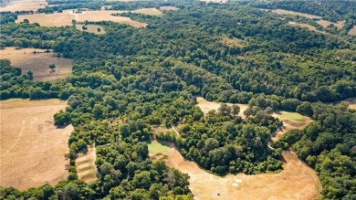 This is your opportunity to capture highly versatile +/- 73 on Big Sugar Golf Club in Arkansas - for sale on GolfHomes.com, golf home, golf lot