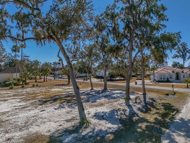 Great lot to build your dream home which is located near the on Oak Grove Island Golf and Country Club in Georgia - for sale on GolfHomes.com, golf home, golf lot