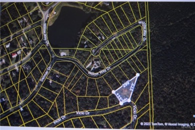 If you're looking for property in the Lakeview/McCalla area on Lakeview Country Club in Alabama - for sale on GolfHomes.com, golf home, golf lot