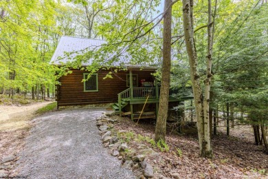 Escape to 'Rustic Refuge', a charming LOG CHALET nestled within on Alpine Lake Resort in West Virginia - for sale on GolfHomes.com, golf home, golf lot
