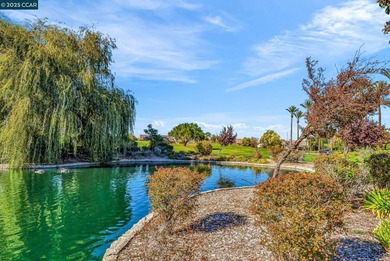 Welcome to 900 Brookside Ln, located in Trilogy, a gated on Golf Club At Rio Vista in California - for sale on GolfHomes.com, golf home, golf lot
