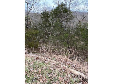 Who doesn't want to live on an island? Now you can when you buy on Holiday Island Golf Course in Arkansas - for sale on GolfHomes.com, golf home, golf lot