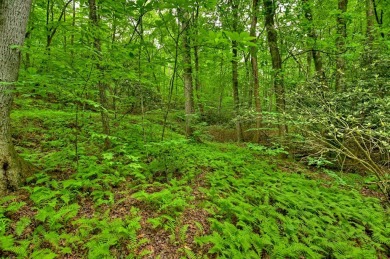 Build your dream home on this beautiful 2.21-acre lot in an on Old Toccoa Farm Golf Club in Georgia - for sale on GolfHomes.com, golf home, golf lot