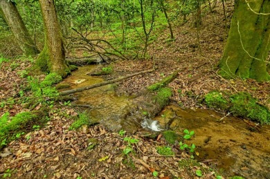 Build your dream home on this beautiful 2.21-acre lot in an on Old Toccoa Farm Golf Club in Georgia - for sale on GolfHomes.com, golf home, golf lot